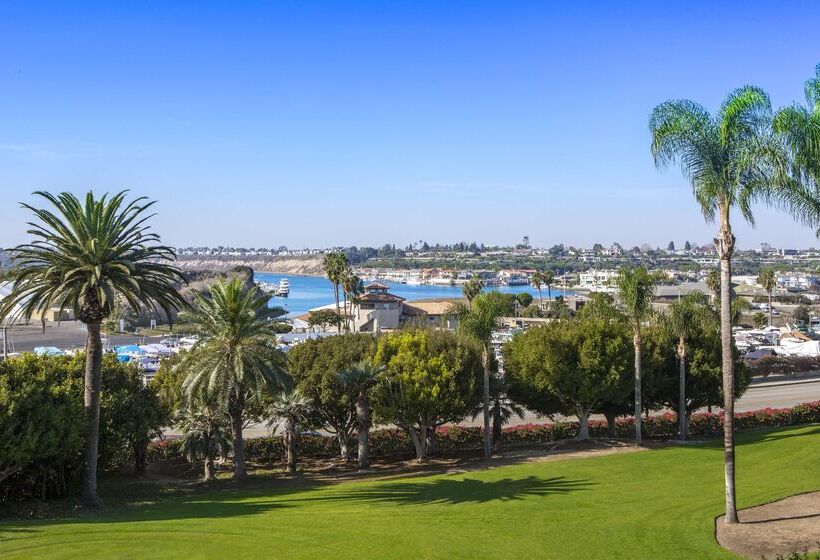 فندق Hyatt Regency Newport Beach