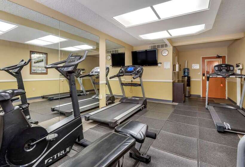 酒店 Quality Inn & Suites Vestal Binghamton Near University