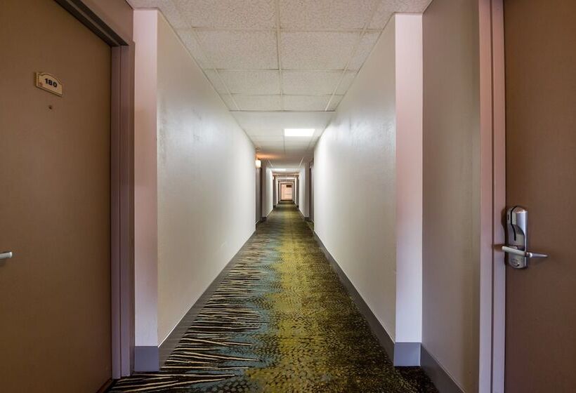 فندق Red Roof Inn And Suites Newark   University