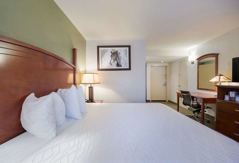 Surestay Plus Hotel By Best Western Lawton