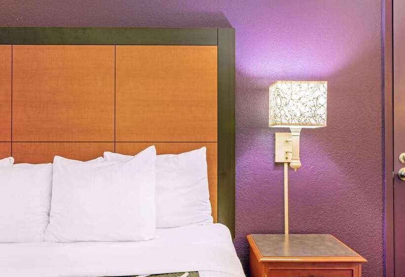 בית מלון כפרי La Quinta Inn By Wyndham And Conference Center San Angelo