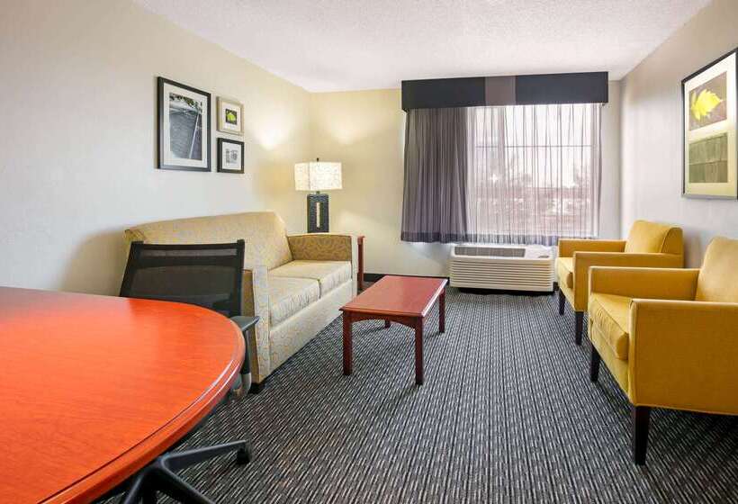 هتل La Quinta By Wyndham Dfw Airport South / Irving