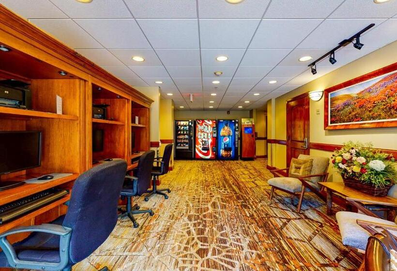 هتل Lion Square Lodge