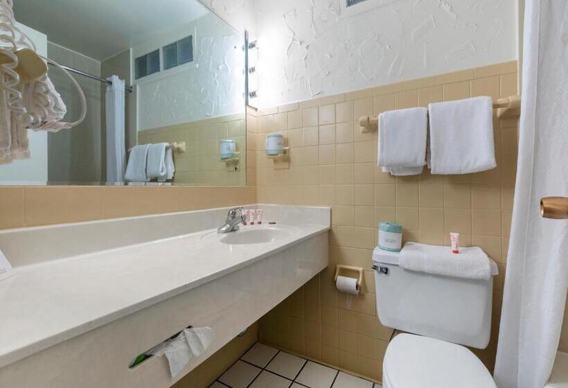 هتل Mansion View Inn & Suites