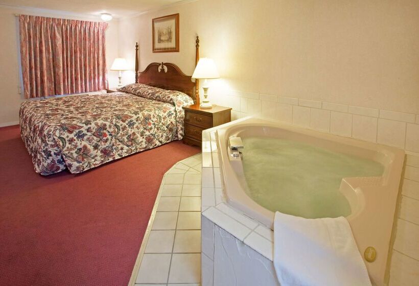 فندق على الطريق Americas Best Value Inn Lansing