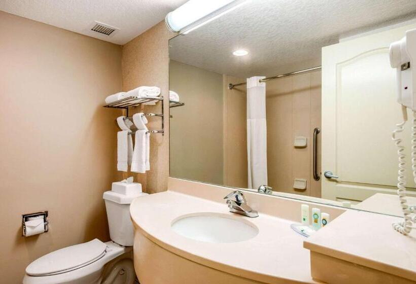 리조트 Quality Inn & Suites Tarpon Springs South