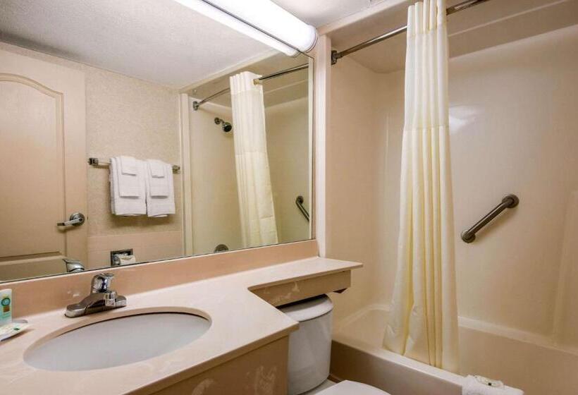 리조트 Quality Inn & Suites Tarpon Springs South