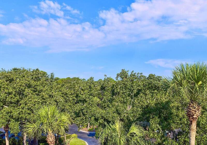 Sonesta Resort  Hilton Head Island
