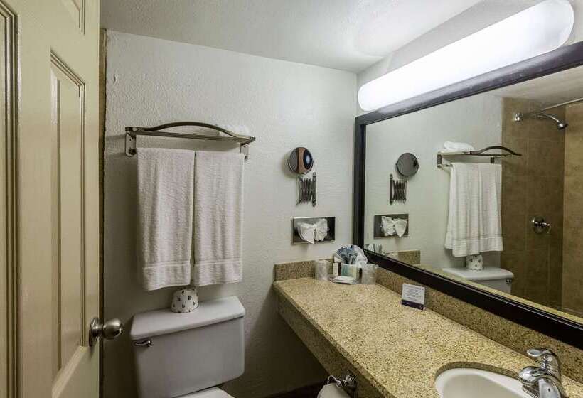 هتل Clarion Inn Near Mcallen Airport