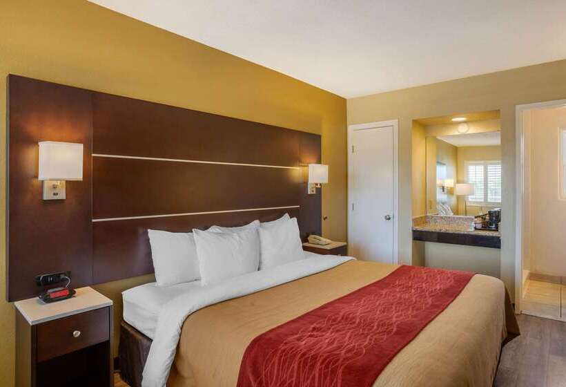 هتل Comfort Inn San Diego Airport At The Harbor