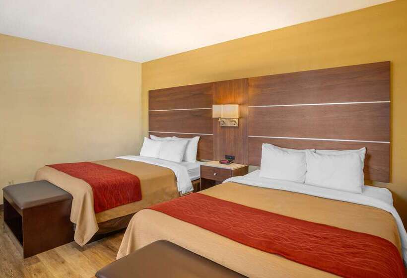 هتل Comfort Inn San Diego Airport At The Harbor