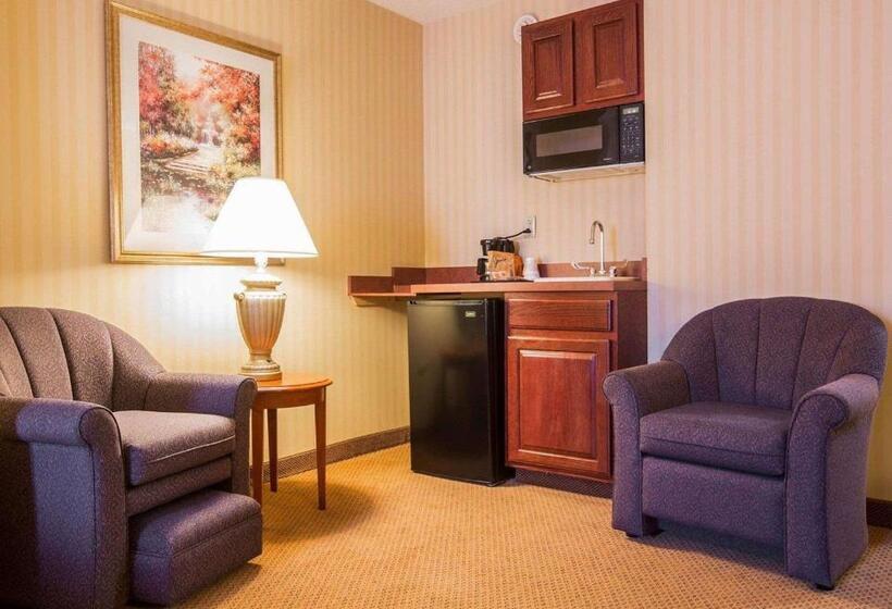 فندق Comfort Inn & Suites