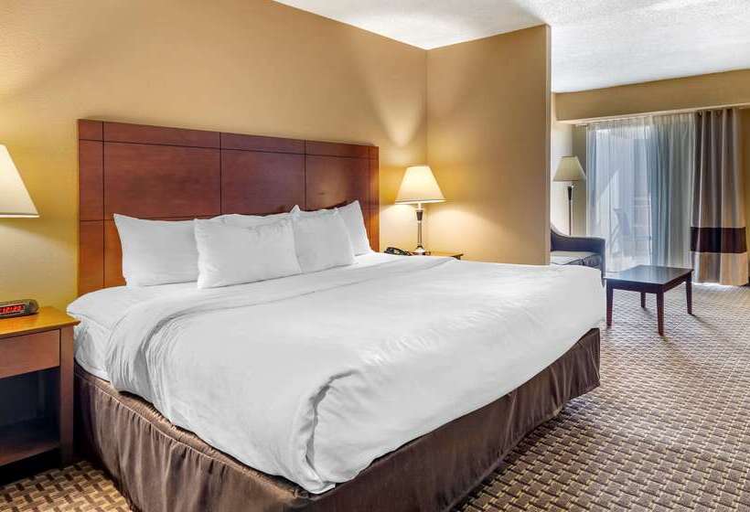 酒店 Comfort Inn & Suites Raphine  Lexington Near I81 And I64