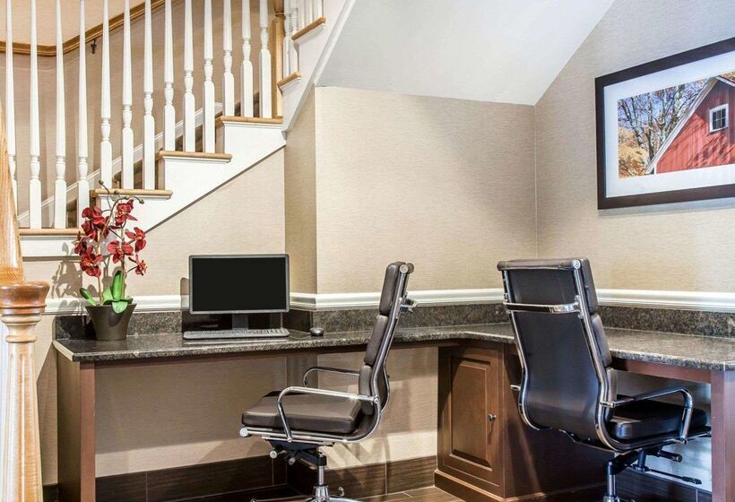 酒店 Comfort Inn & Suites Sturbridgebrimfield
