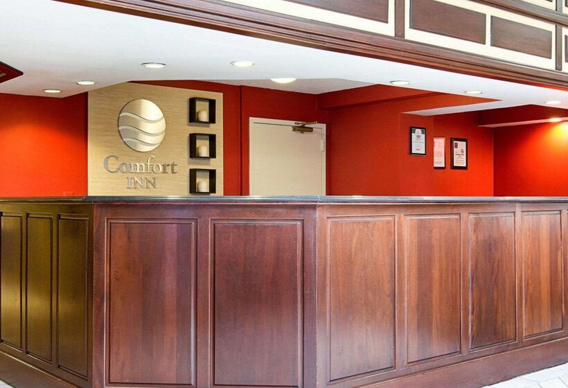 酒店 Comfort Inn University Center