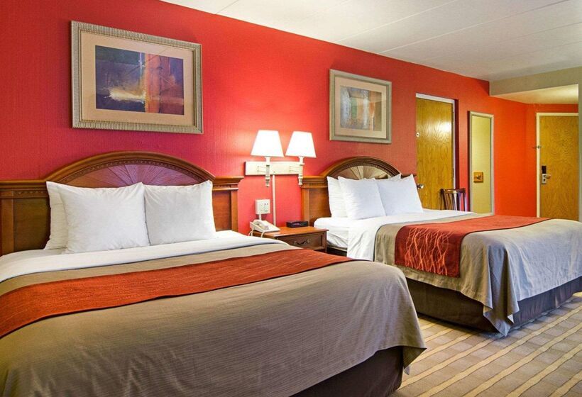 酒店 Comfort Inn University Center