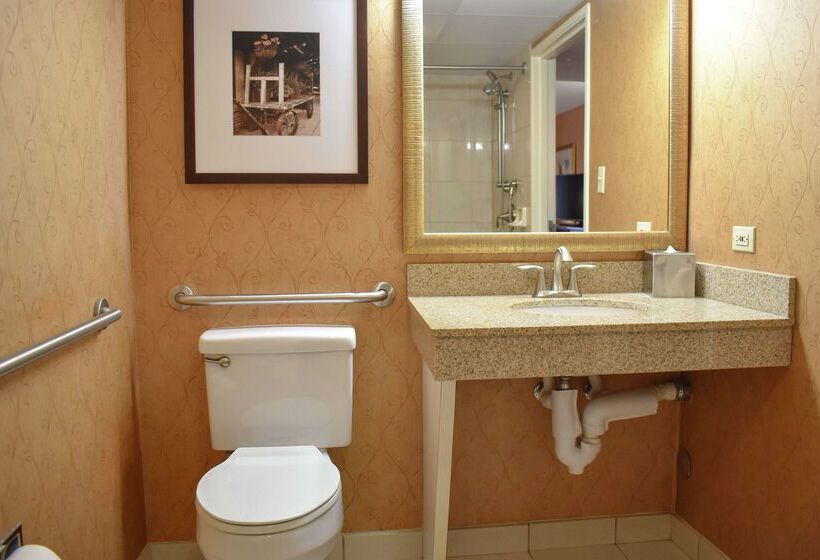 هتل Doubletree By Hilton Asheville Biltmore