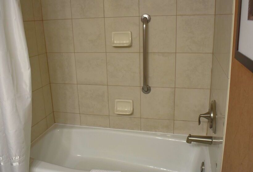 هتل Doubletree By Hilton Asheville Biltmore