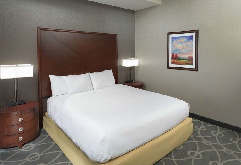 هتل Doubletree By Hilton Asheville Biltmore
