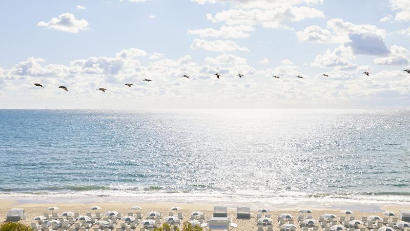בית מלון כפרי Four Seasons Resort Palm Beach