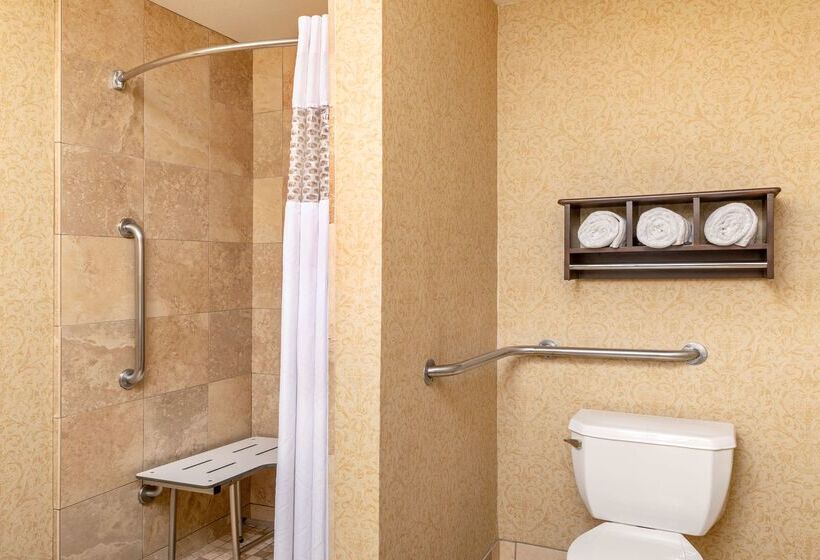 בית מלון כפרי Hampton Inn & Suites San Clemente