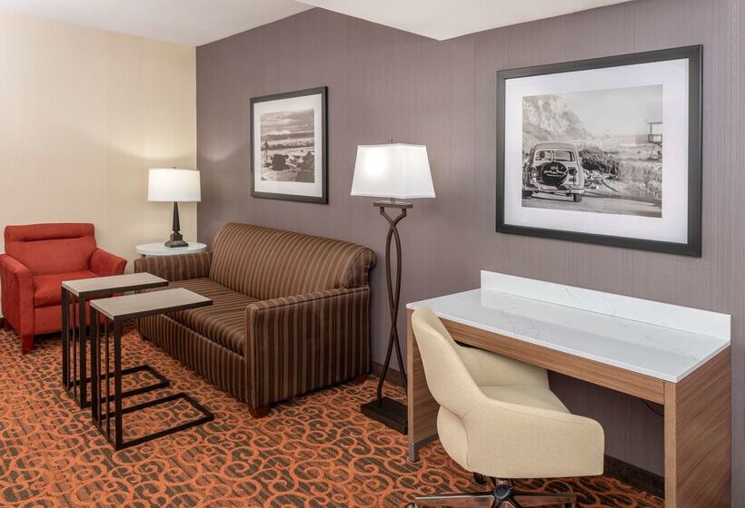 בית מלון כפרי Hampton Inn & Suites San Clemente