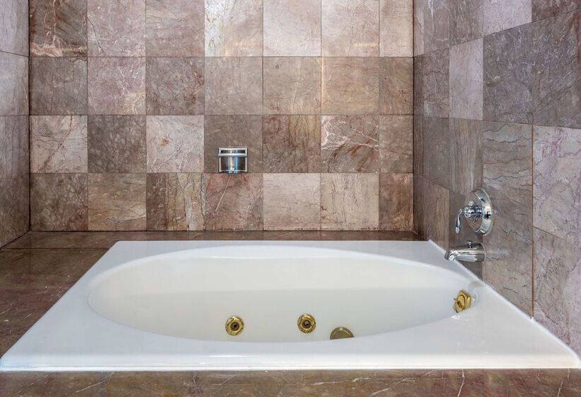 هتل Hilton Alexandria Mark Center