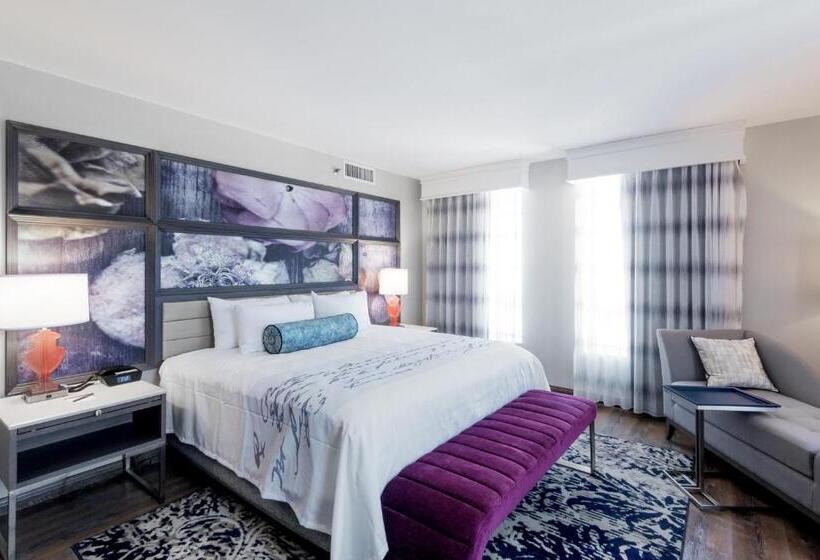 هتل Indigo   Birmingham Five Points S   Uab, An Ihg