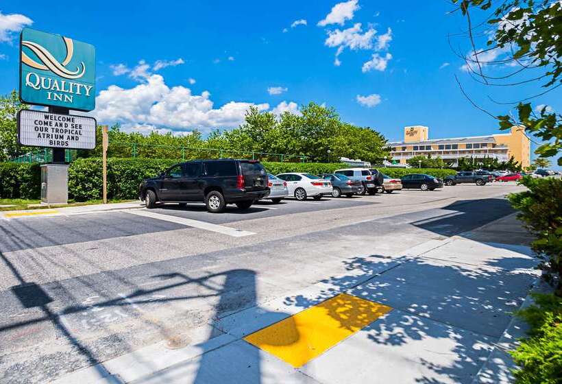 هتل Quality Inn Oceanfront