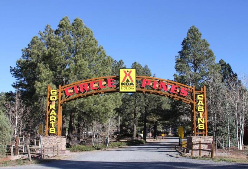 モーテル Super 8 By Wyndham Williams West Route 66   Grand Canyon Area