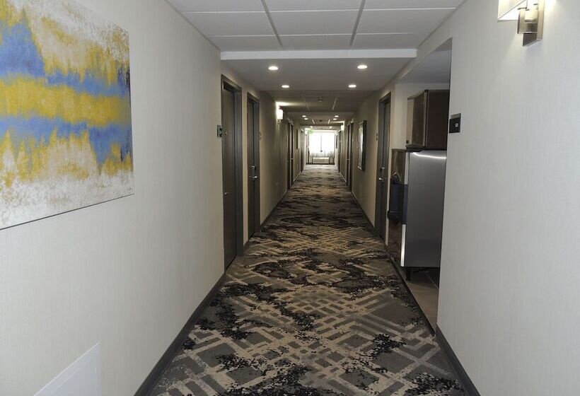 ホテル Best Western Plus Clarks Summit Scranton