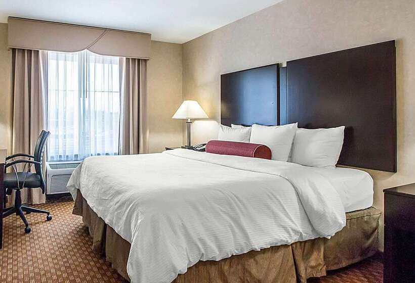 酒店 Clarion Inn Elmhurst  Oak Brook Near I88, I290, I294