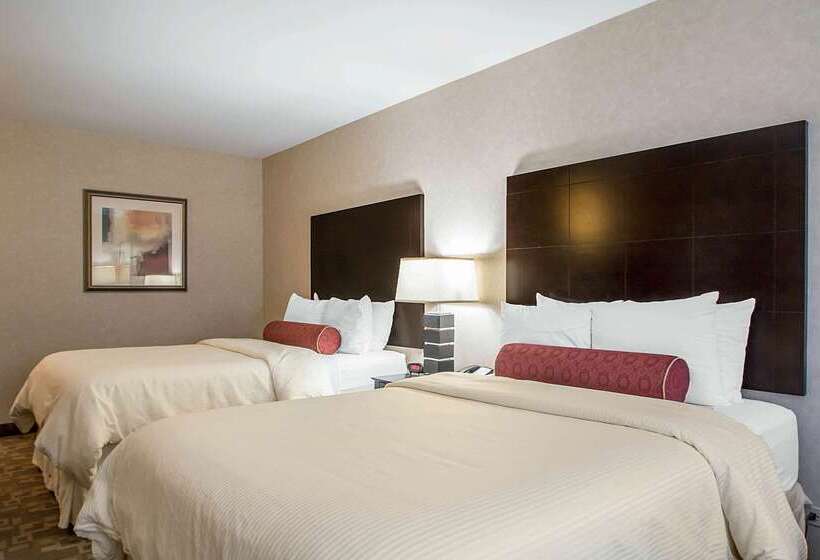 酒店 Clarion Inn Elmhurst  Oak Brook Near I88, I290, I294