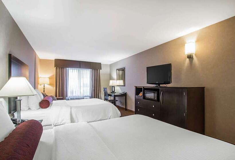 酒店 Clarion Inn Elmhurst  Oak Brook Near I88, I290, I294