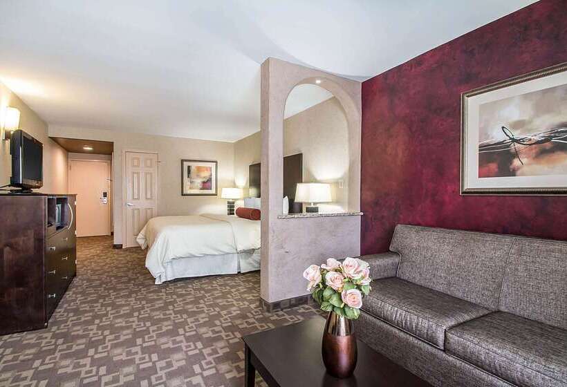 酒店 Clarion Inn Elmhurst  Oak Brook Near I88, I290, I294