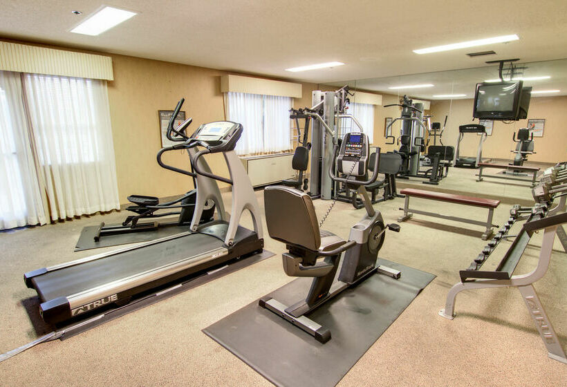 호텔 Comfort Inn Phoenix North