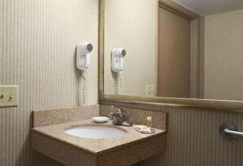 בית מלון כפרי Days Inn By Wyndham Rock Falls