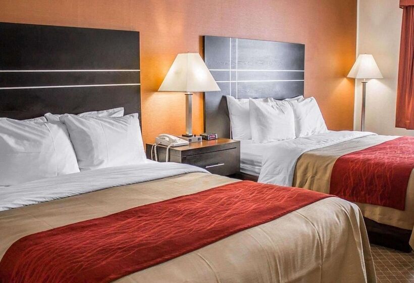 호텔 Norwood Inn & Suites North Conference Center