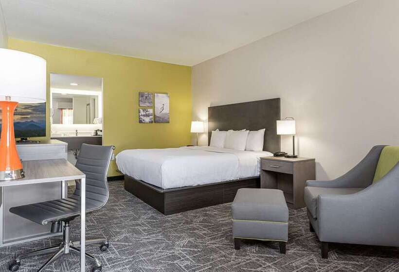 هتل Quality Inn Asheville Downtown Tunnel Rd
