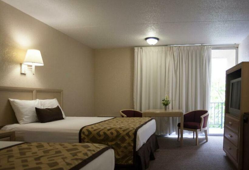 Hotel Reagan Resorts Inn  Adults Only