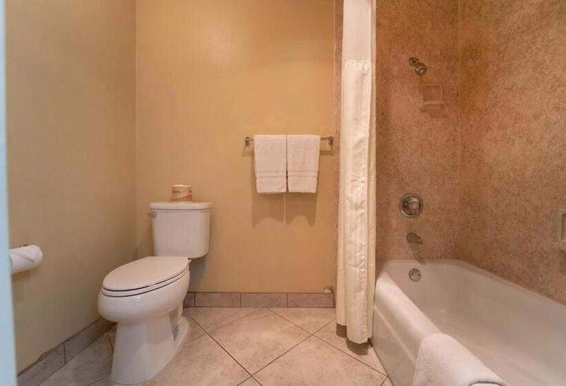 فندق Royal Plaza Inn