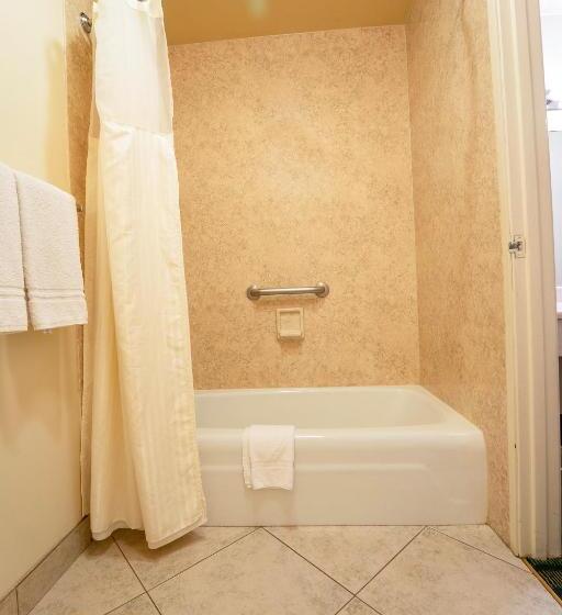 فندق Royal Plaza Inn