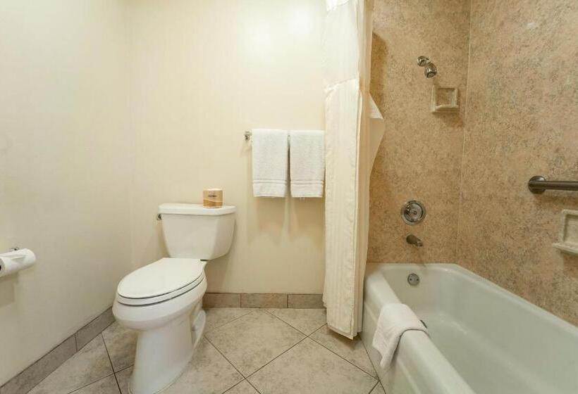 فندق Royal Plaza Inn