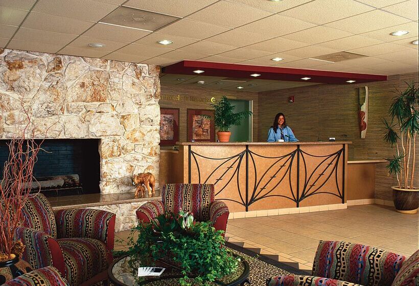 هتل Safari Inn, A Coast