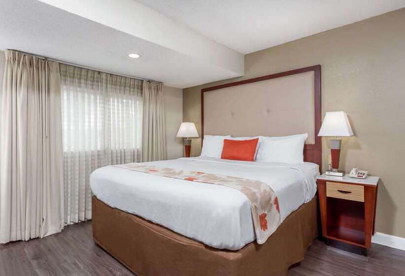 דירת נופש Hawthorn Suites By Wyndham North Charleston