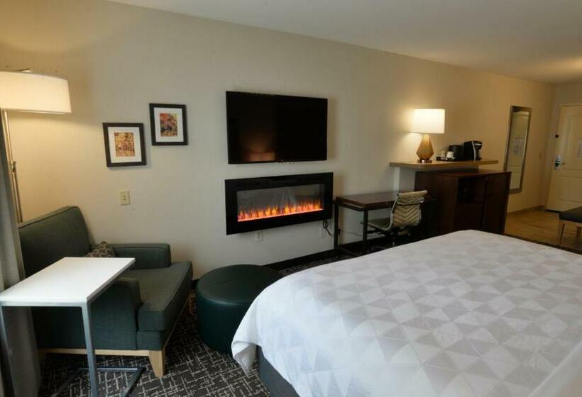 Hotel Holiday Inn  & Suites Minneapolislakeville