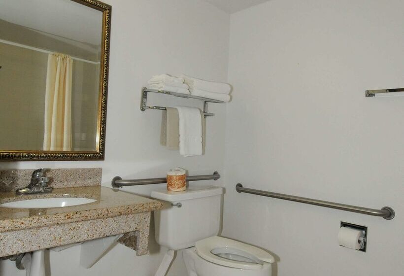 Отель Best Western Antelope Inn & Suites