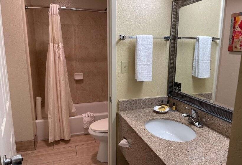 בית מלון כפרי Best Western Plus Pleasanton Inn