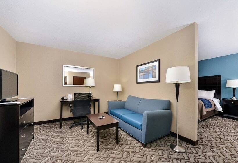 هتل Comfort Inn & Suites Springfield I55