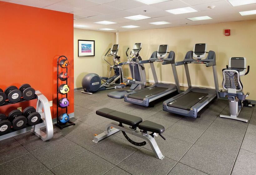 酒店 Doubletree By Hilton  Boston  Milford